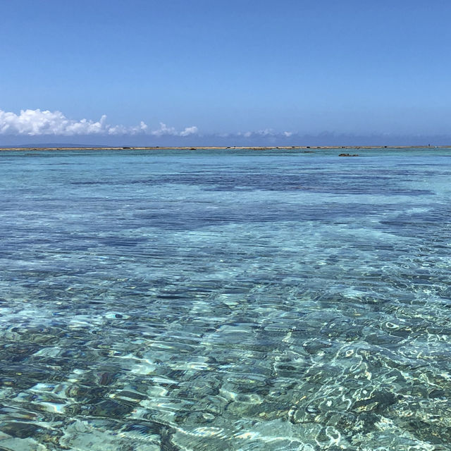 ヨロンブルーの海に囲まれた魅力あふれる島