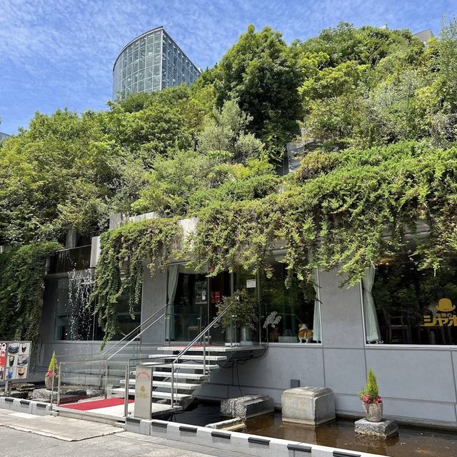 天神中央公園：城市綠洲放鬆身心！🌳🌷🏞️