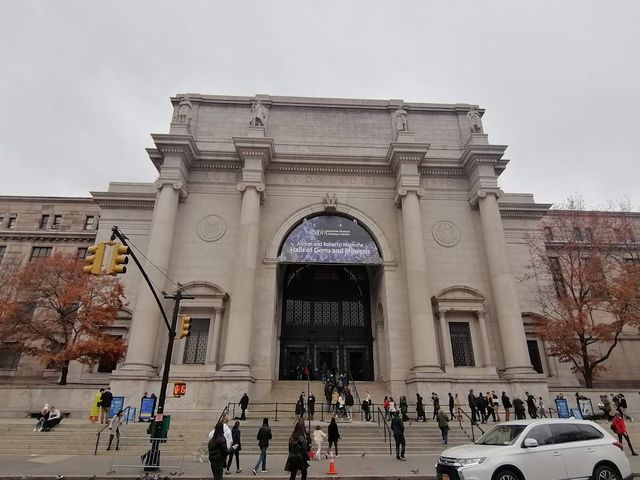 American Museum of Natural History 👀✨