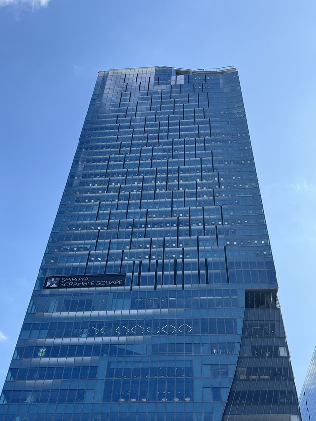 현재 도쿄 여행 가장 핫플🔥🔥