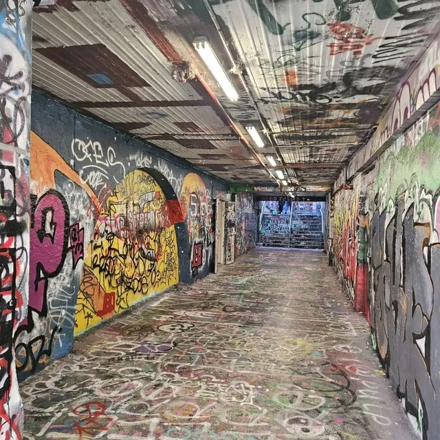 悉尼大學校園內的塗鴉隧道🎨🎭