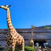 Care for Animals like Noah's did🦒