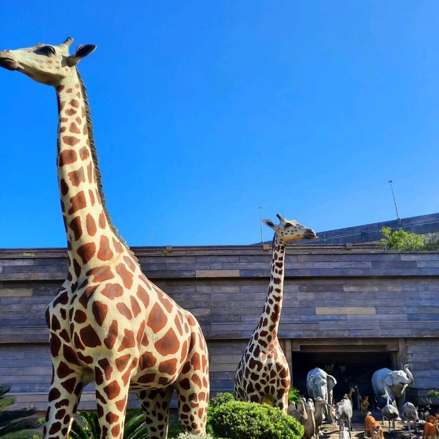 Care for Animals like Noah's did🦒