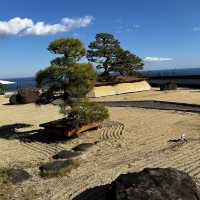 Bonsai garden inside ACAO forest