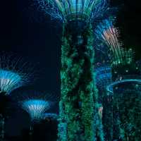 เที่ยว Gardens By The Bay ที่สิงคโปร์กันเถอะ 🇸🇬