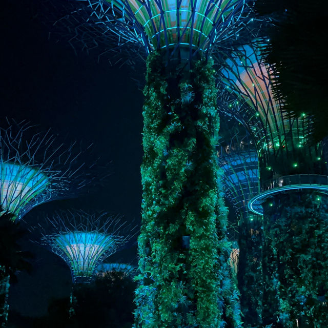 เที่ยว Gardens By The Bay ที่สิงคโปร์กันเถอะ 🇸🇬