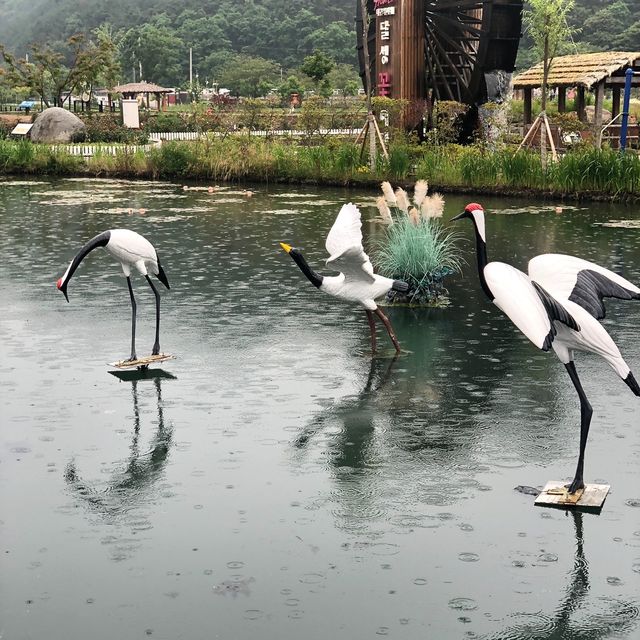 대구 근교 여행지 추천💘옥연지 송해공원 함께 걸어요🎵