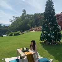 lof land คาเฟ่+ที่เที่ยวนั่งชิลในชลบุรี