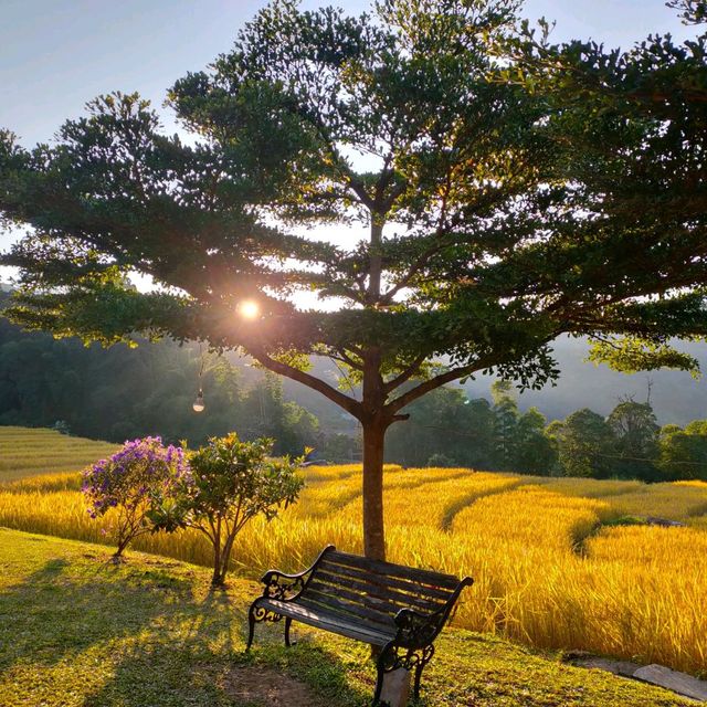 หนาวนี้ที่บ้านแม่กลางหลวง
