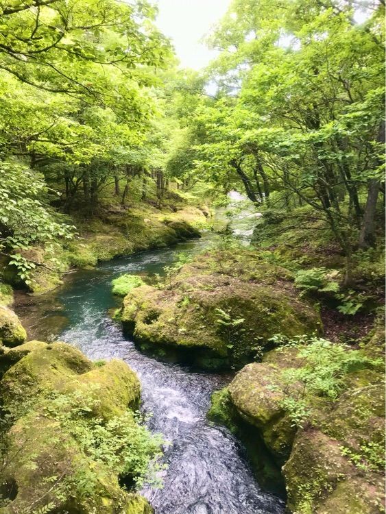栃木県日光で大自然の中をハイキング【戦場ヶ原】