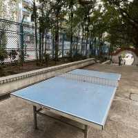 黃大仙下邨內嘅龍趣園何鴻燊公園
