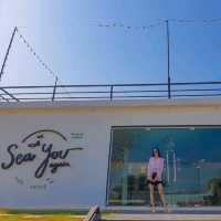 Sea  you again 
