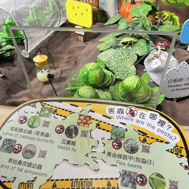 親子西貢郊遊好去處～