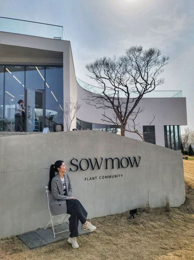 3월초 오픈한 역대급 통창뷰 청도 신상카페🌳☕️