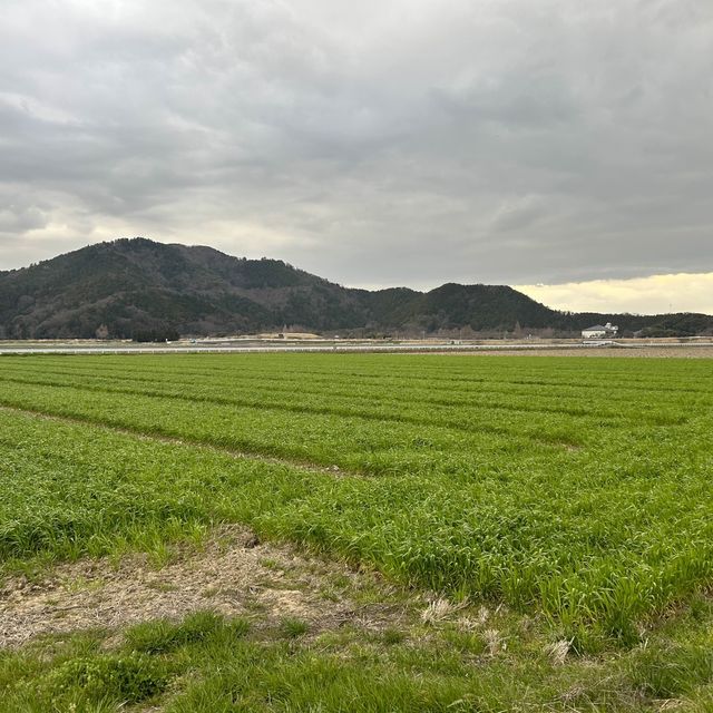 喜歡日本的田園與童真