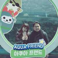largest aquarium in Asia - Aqua Planet jeju