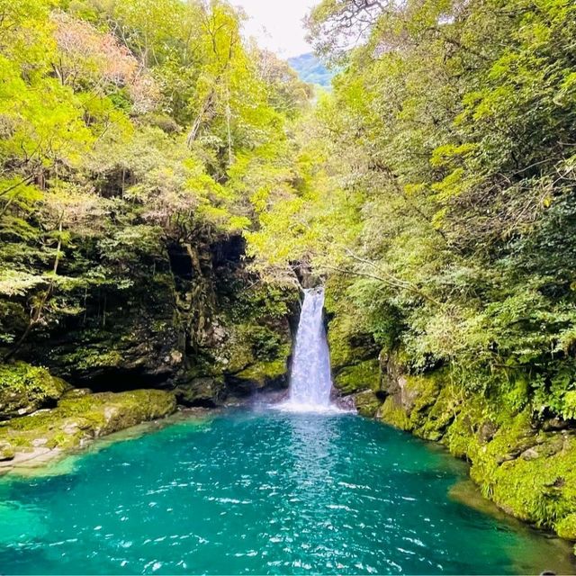 【高知県/吾川郡】にこ淵