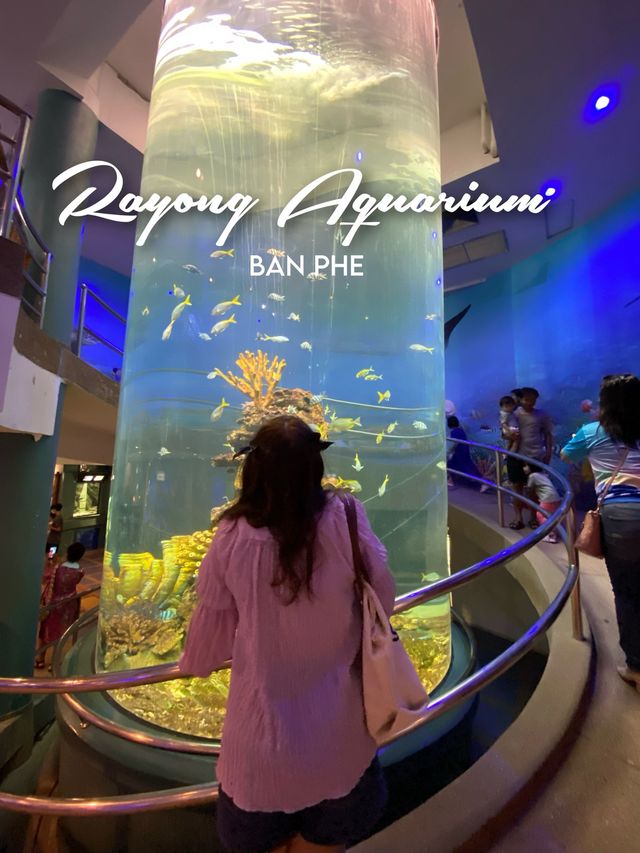 พิพิธภัณฑ์สัตว์น้ำ ระยอง 🦀