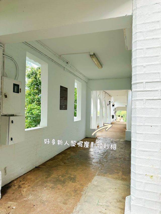 ⭐️山頂秘景～婚攝勝地👩🏻‍❤️‍👨🏻白加道纜車站