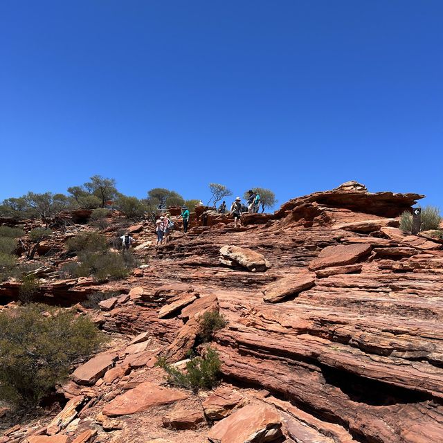 See Nature’s Hidden Gifts in Kalbarri, WA