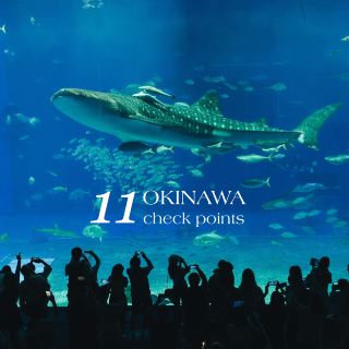 🇯🇵 𝐎𝐊𝐈𝐍𝐀𝐖𝐀 4 days 3 nights, budget 1x,xxx