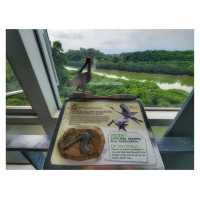 香港濕地公園 Hong Kong Wetland Park