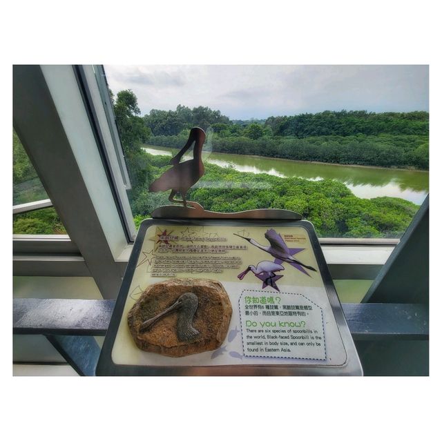 香港濕地公園 Hong Kong Wetland Park