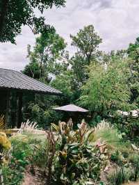 Rhapsody คาเฟ่สุดธรรมชาติย่านเมืองนนท์