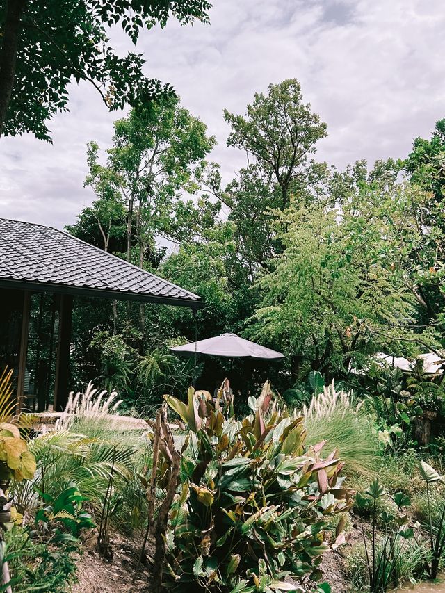 Rhapsody คาเฟ่สุดธรรมชาติย่านเมืองนนท์