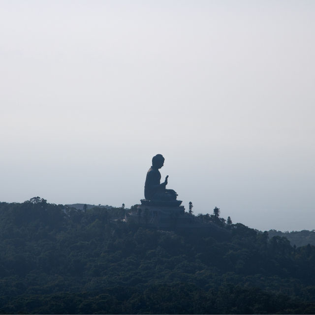 香港🇭🇰 ｜挑戰香港第二高峰⛰️ - 鳳凰山