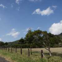 墾丁 ｜⛰️民宿眺望大尖山遊牧場
