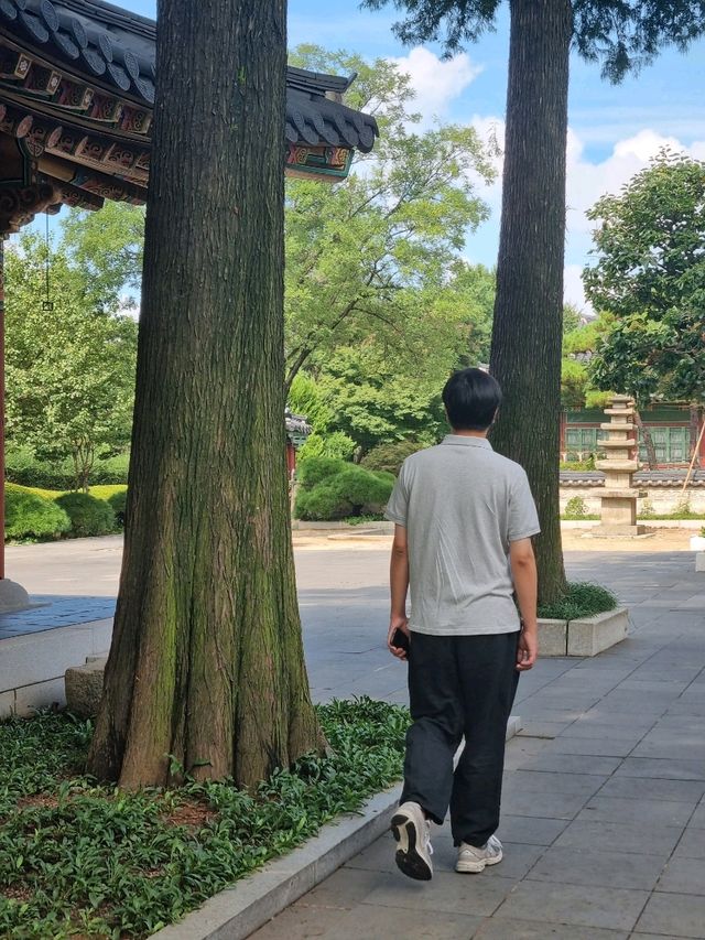 엄청나게 넓은 정원의 메이필드호텔 