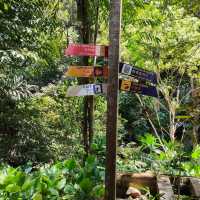 Tropical Spice Garden