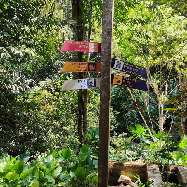 Tropical Spice Garden