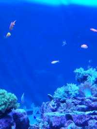 「池袋」サンシャイン水族館