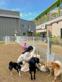 우리집 댕댕이와 함께 할 수 있는 금산 신상 숙소, 오늘의우리집🏠 