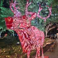聖誕之夜🎄中洲川端影