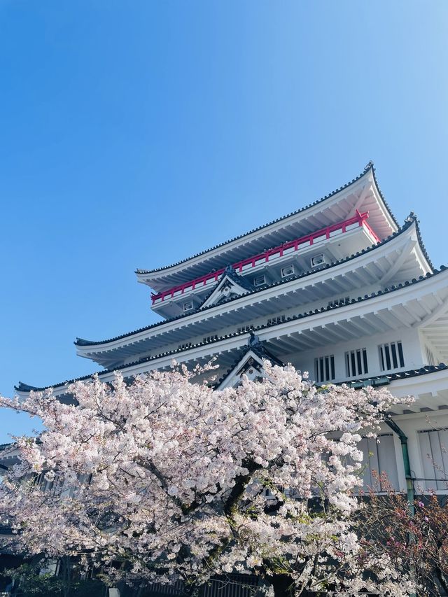 熱海でお花見するならここ！熱海の絶景を一望できる熱海城！