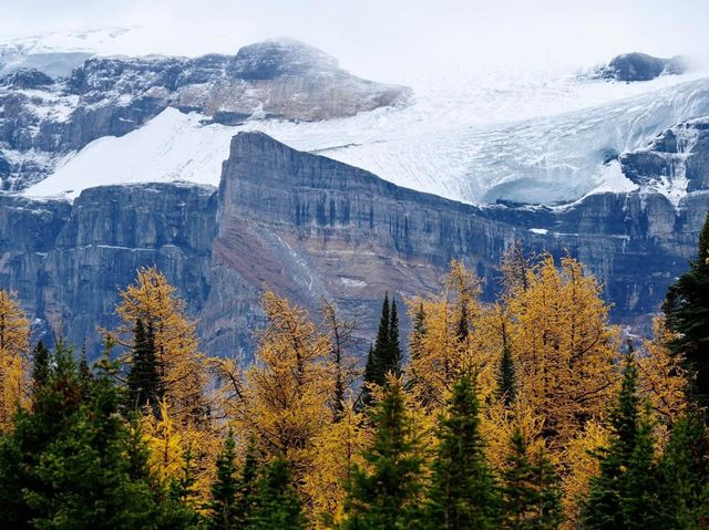 healthy moderate hike to Banff National Park