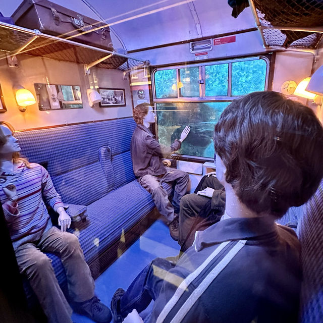 A magical tour for muggles