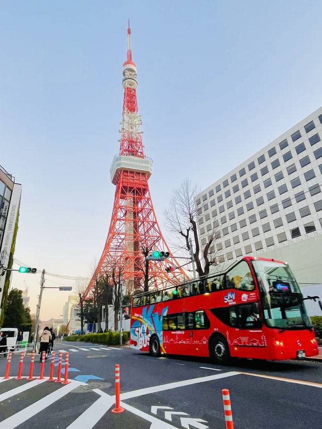 【東京都/東京タワー】いつもと違う景色