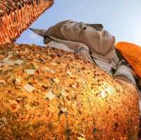 วัดขุนอินทประมูล