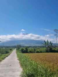 The Majesty of Mount Semeru Volcano