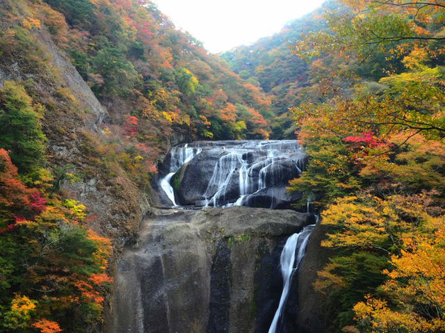 Fukuroda Falls 