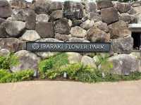 IBARAKI FLOWER PARK