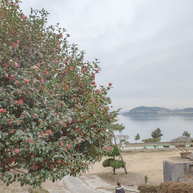 여수 겨울 바다와 동백 지장대사