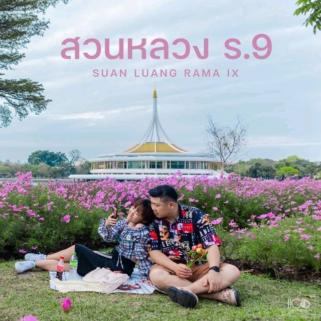 นั่งปิกนิก ปั่นเรือเป็ด ที่สวนหลวงร.9