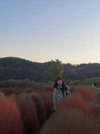 바다에 들어온 것 같은 공원 "임진강 댑싸리 공원"🌿