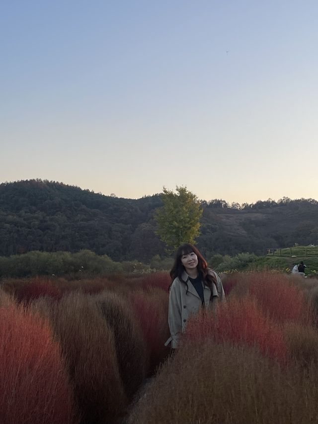 바다에 들어온 것 같은 공원 "임진강 댑싸리 공원"🌿