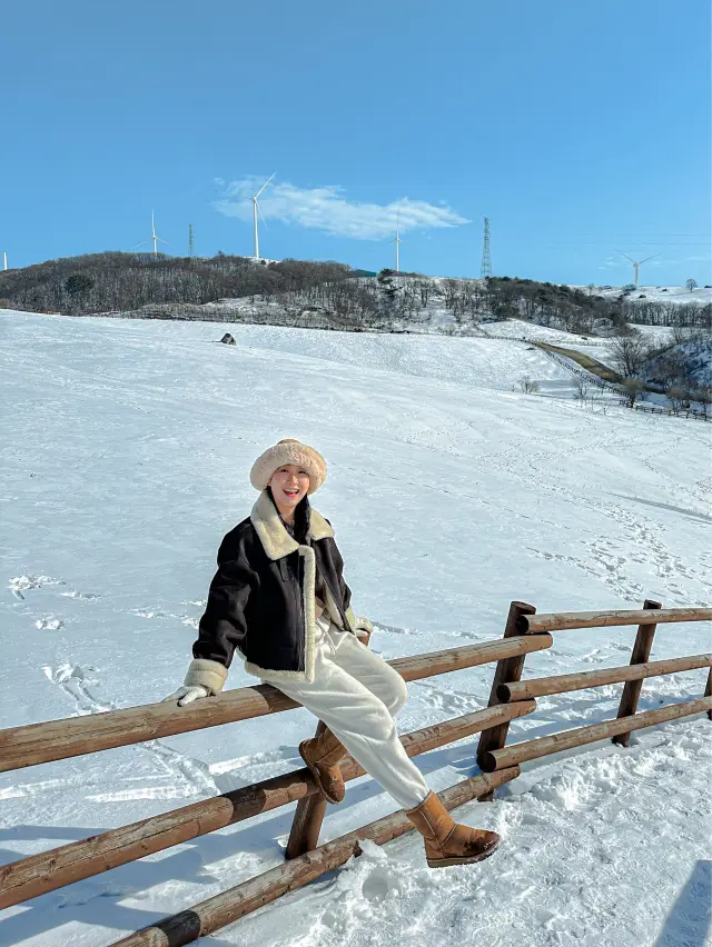 삿포로도 몽골도 아닌 여긴 강원도🏔️⛄️